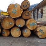 Zirbe - Rundholz