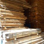 Rüster & Akazie, nat