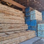 Eiche Boules und Akazie ged.